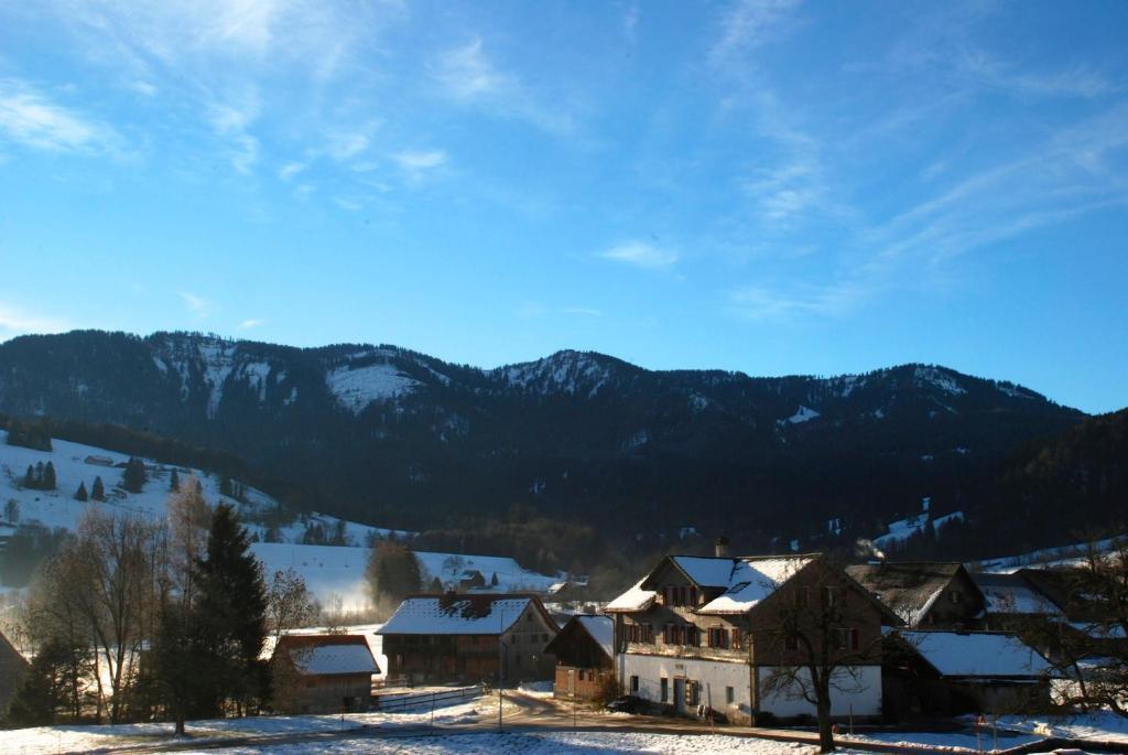 Naturnoech Unterägeri 部屋 写真